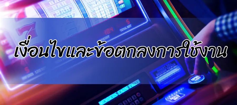 เงื่อนไขและข้อตกลงการใช้งาน